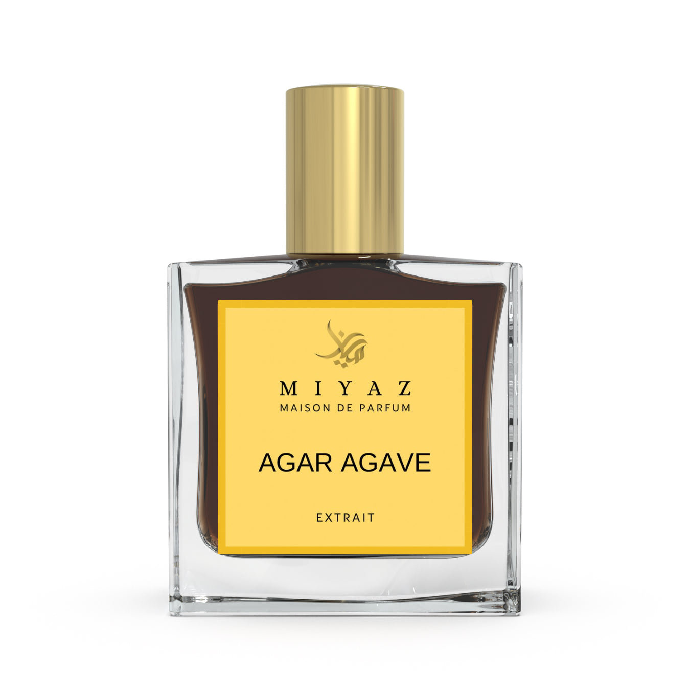 Agar agave