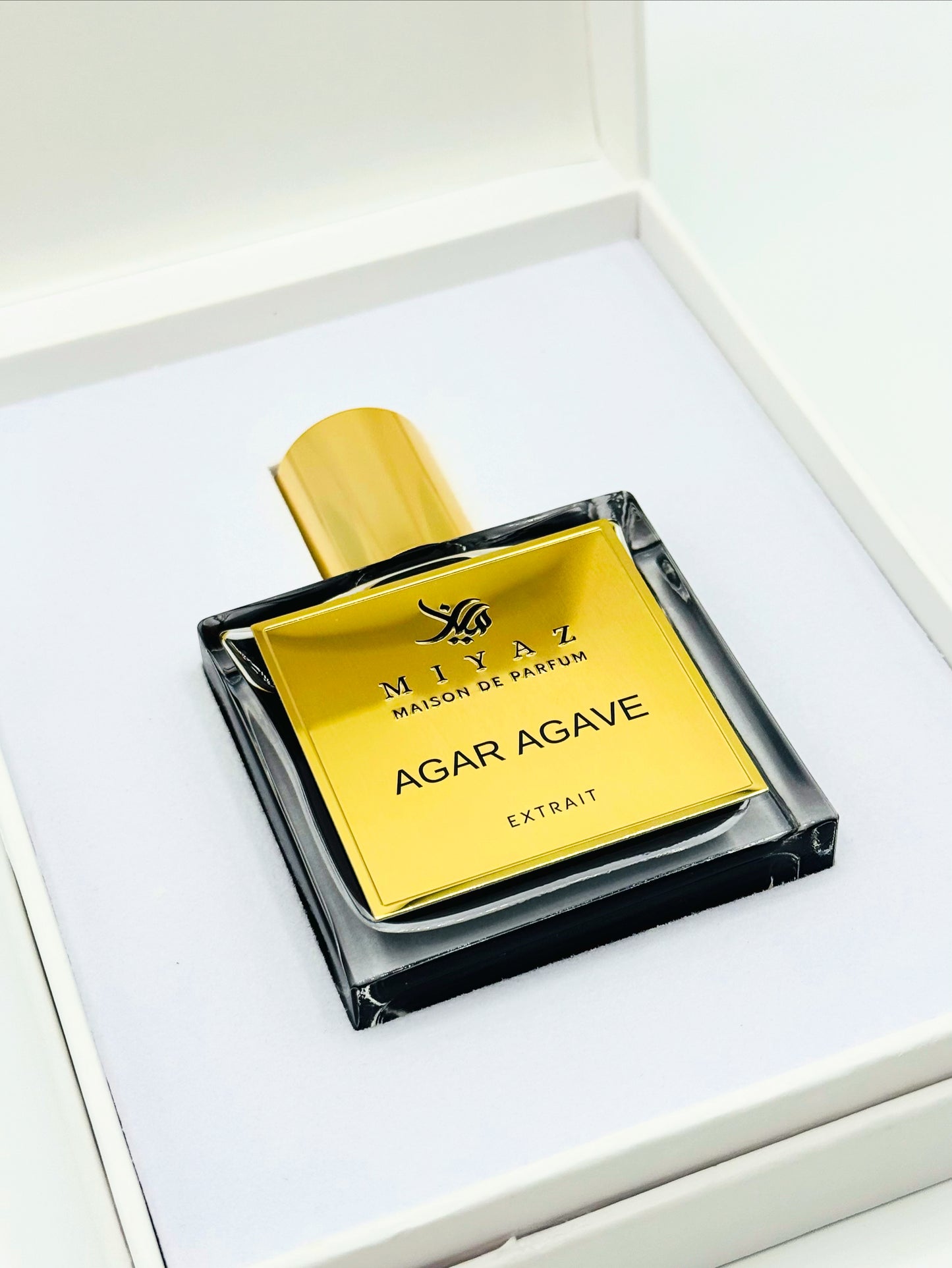 Agar agave