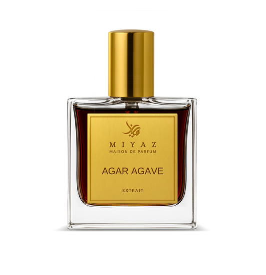 Agar agave